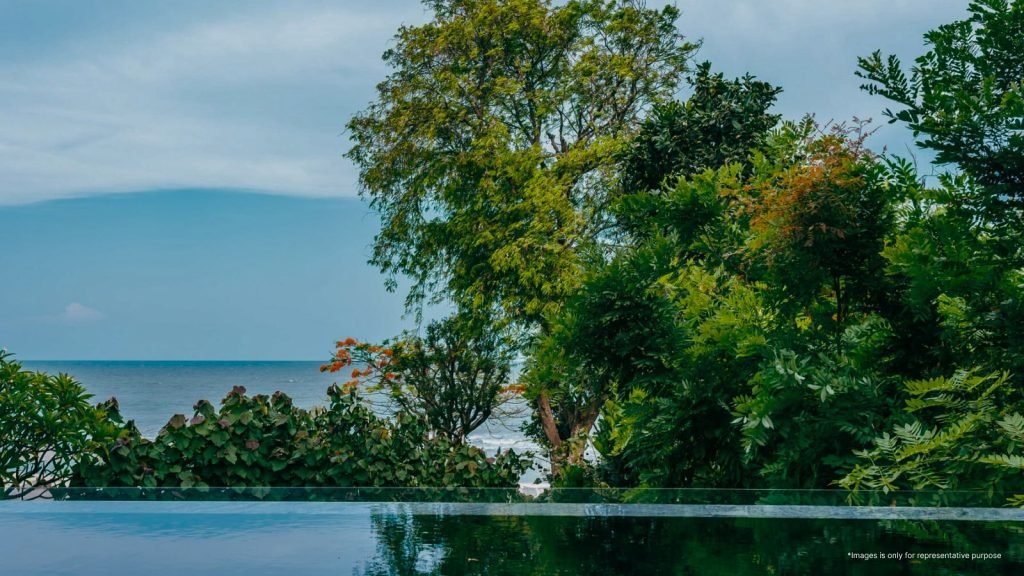 Embassy East Avenue Gallery​ 5