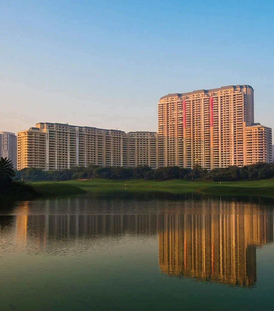 DLF The Camellias Pop Up