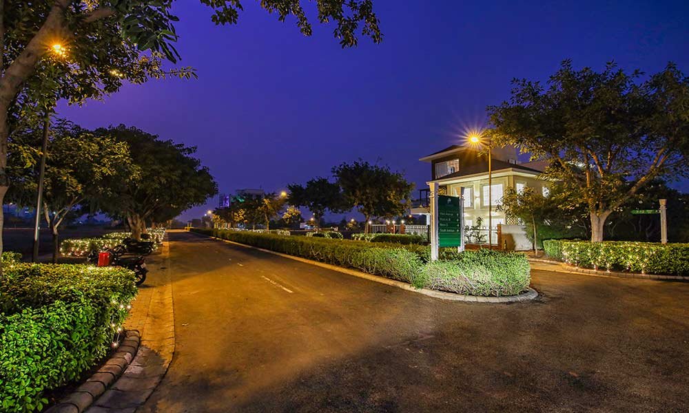 DLF Alameda Sector 73, Gurgaon 12 DLF Alameda Gallery 6