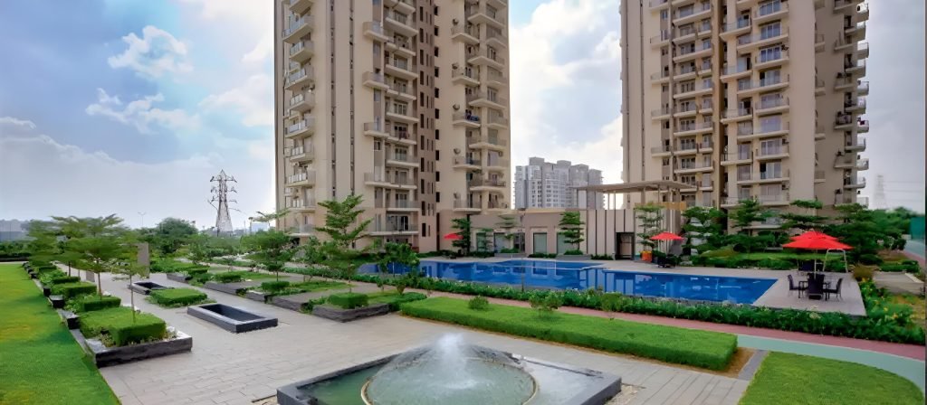 Conscient Elevate Reserve Gallery 6