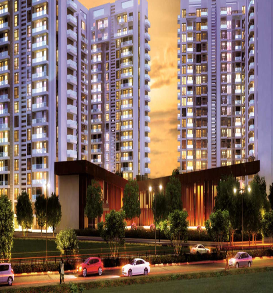 Ambience Caitriona Pop Up