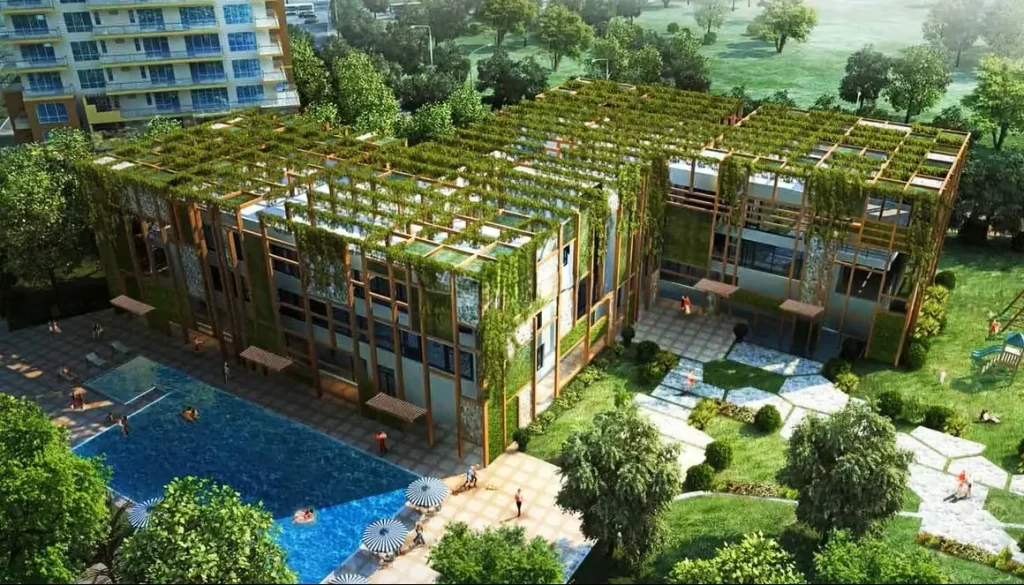 Pioneer Araya Gallery 1