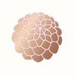 gprkfi2 1734677946 539626487 O 1